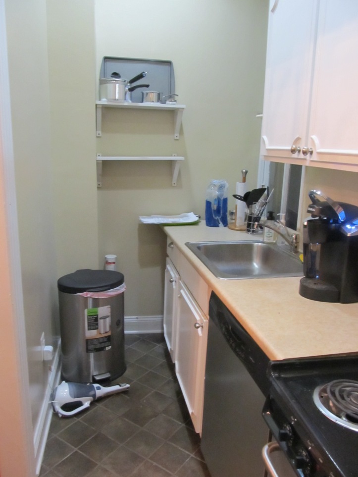 If you've poked around on the Rowhouse Apartment 2.0 page, you've seen this shot of the kitchen when the previous tenant was in the process of moving out. It's itty-bitty, and WTF is up with those sad little crooked, off-center shelves?